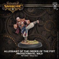 allegiant of the order of the fist protectorate solo